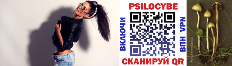 Псилоцибиновые грибы Psilocybe  omg ссылка  Нолинск 